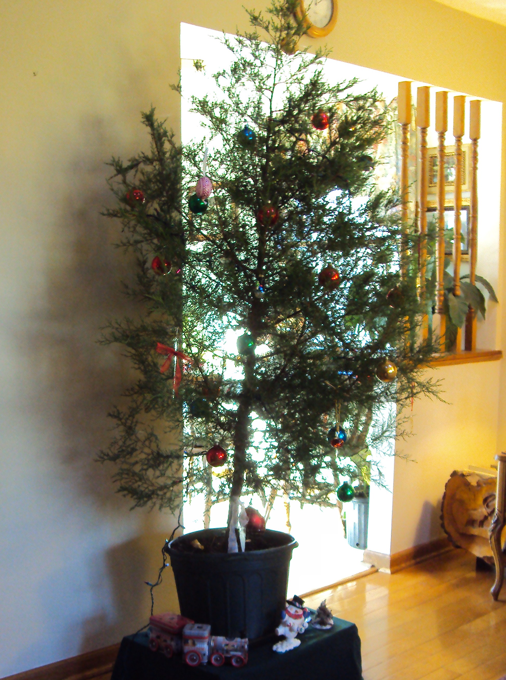 CHARLIE BROWN ALL GROWN UP