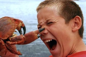 crab