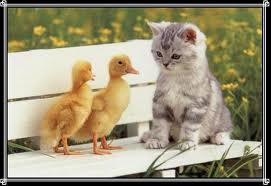 JUST 'CAUSE WE'RE DIFFERENT DOESN'T MEAN ME CAN'T GET ALONG